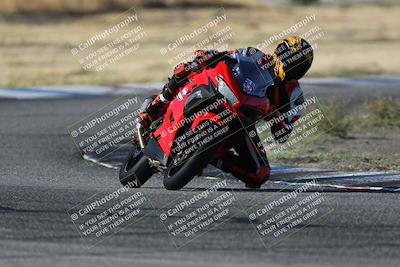 media/Oct-29-2023-Carters at The Track (Sun) [[b2bb4383ab]]/B Plus/1020am (Sunrise)/